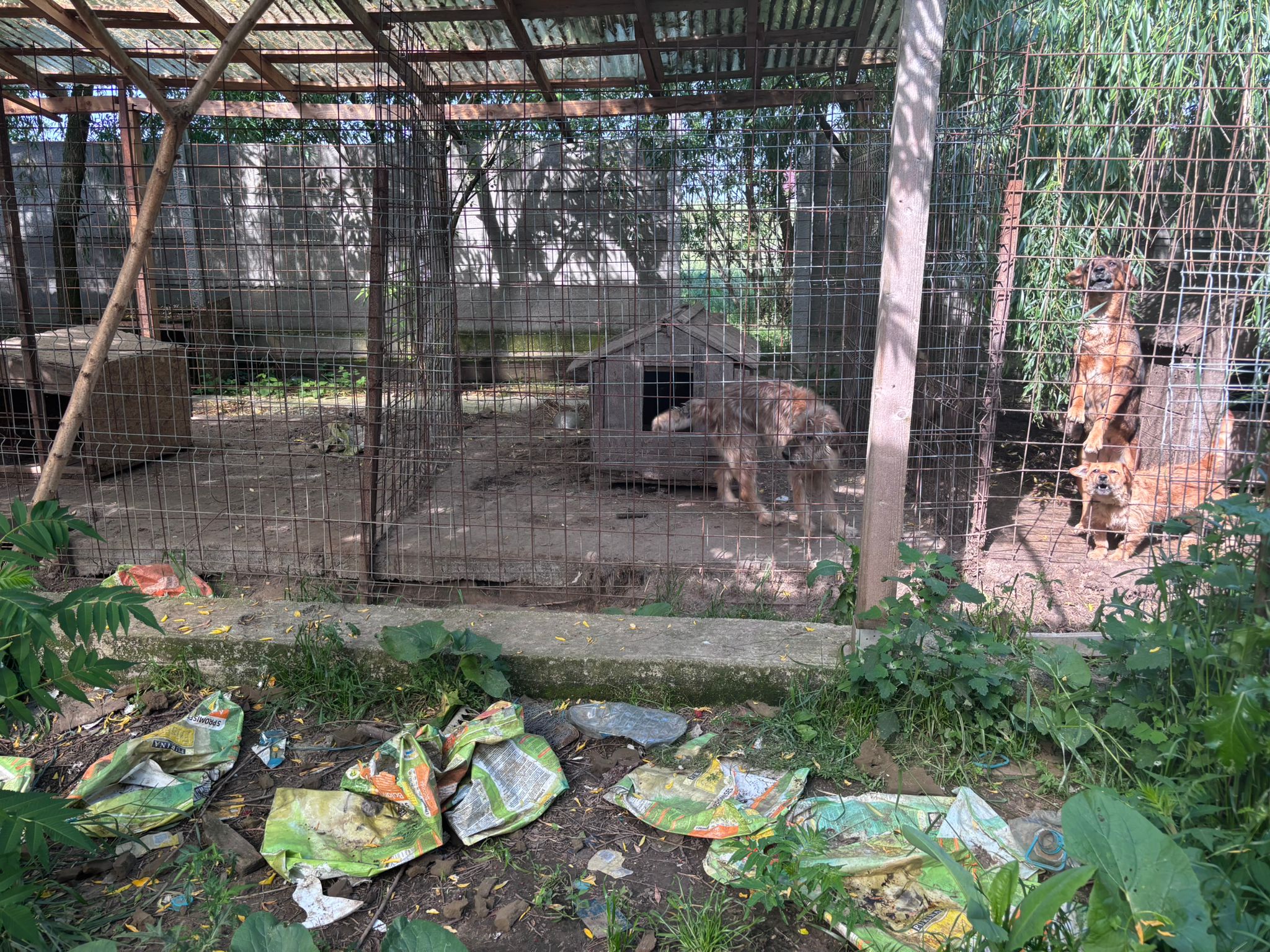 WhatsApp Image 2025-06-03 at 16.25.57