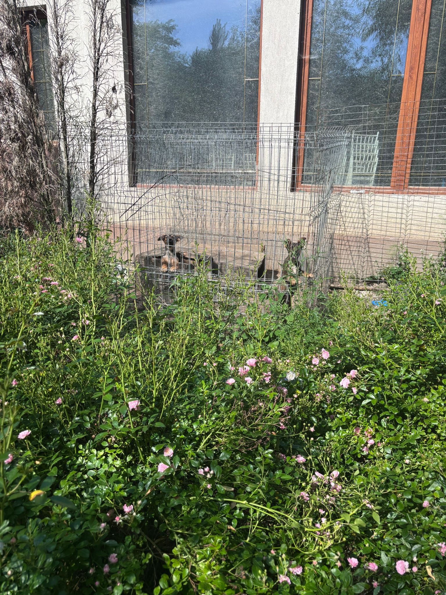 WhatsApp Image 2025-06-03 at 16.25.58 (1)