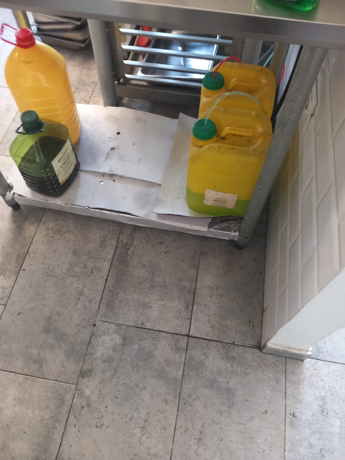 WhatsApp Image 2025-06-03 at 16.50.57 (1)