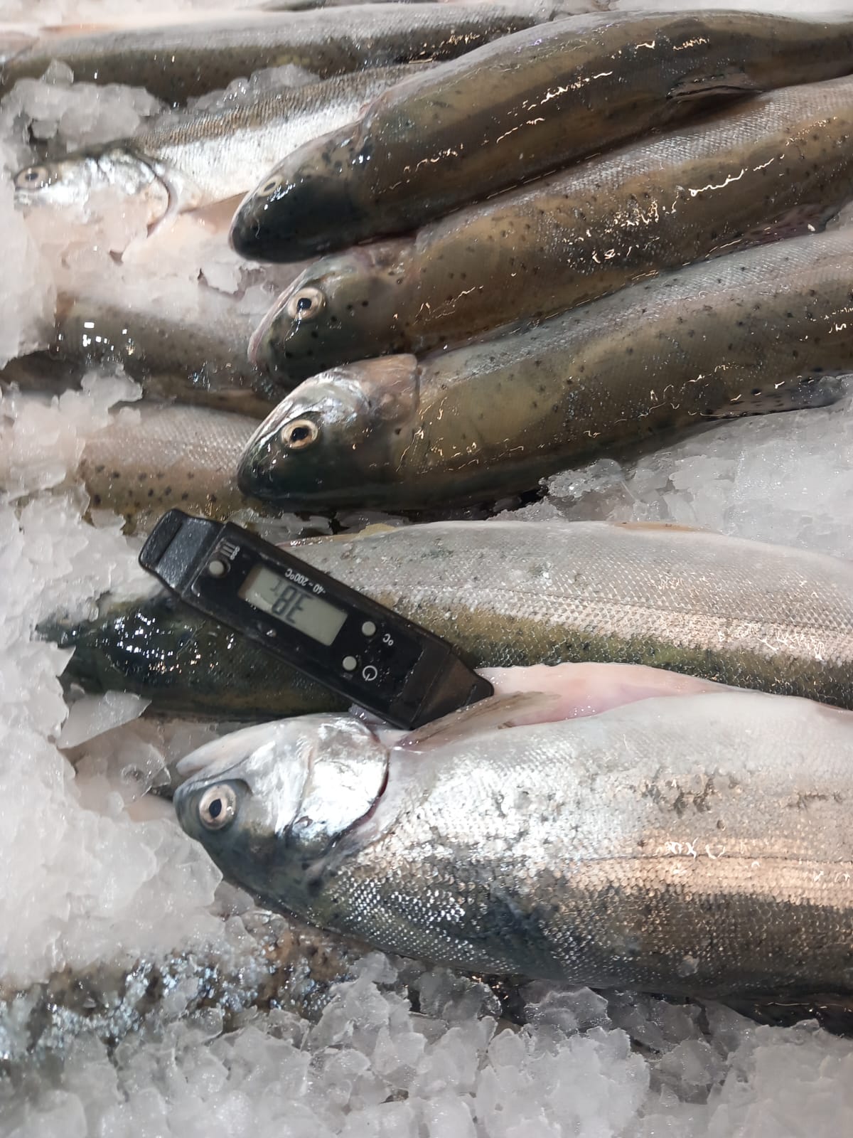 WhatsApp Image 2025-06-05 at 13.41.05 (2)