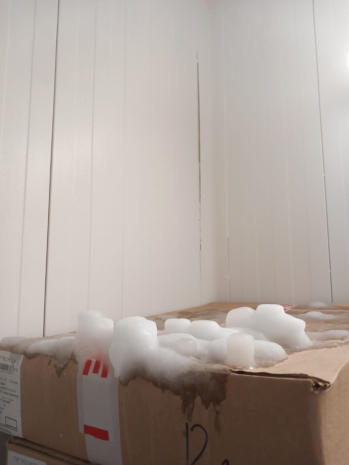 WhatsApp Image 2025-06-05 at 13.41.04 (5)