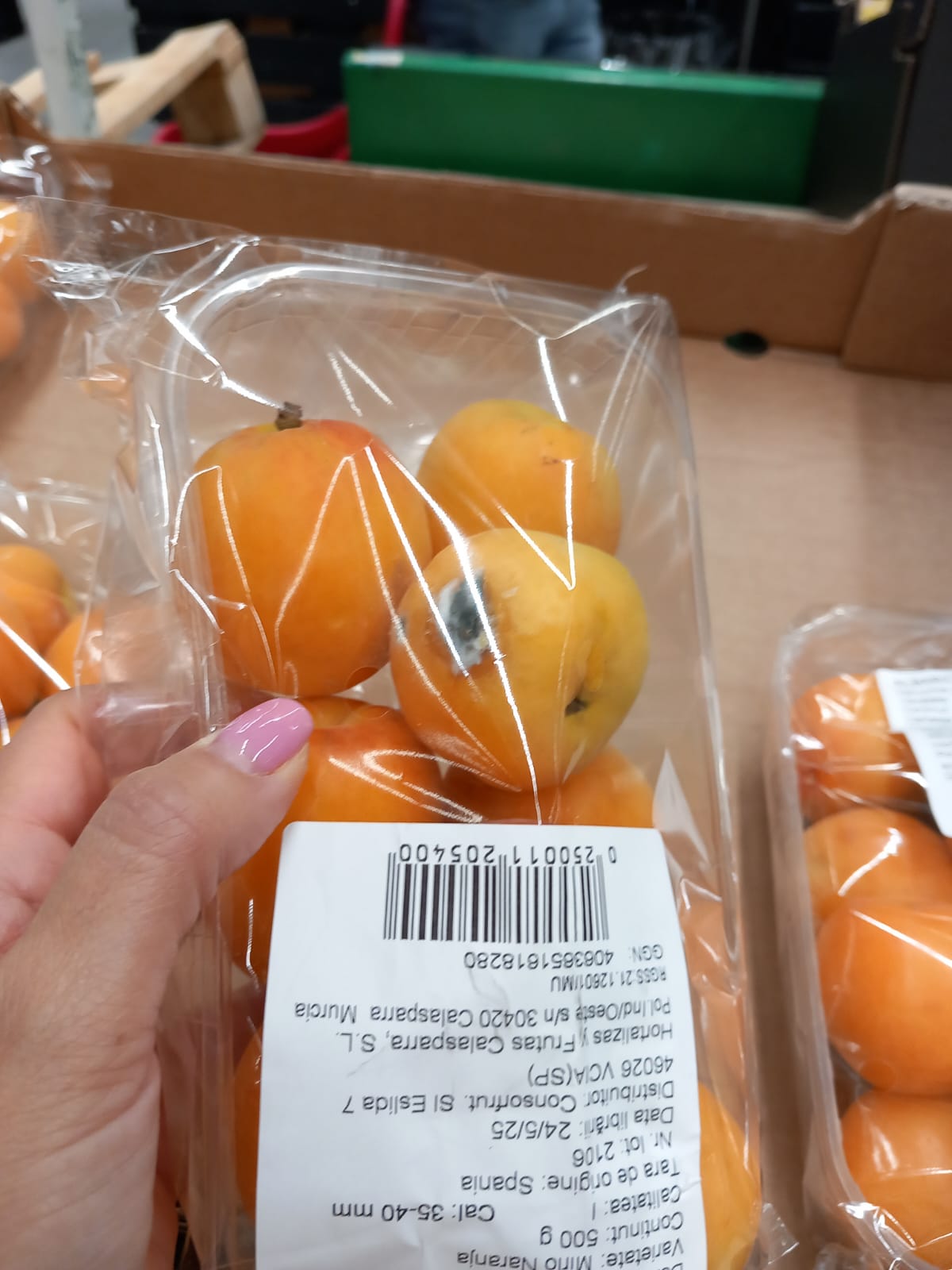 WhatsApp Image 2025-06-05 at 13.41.05