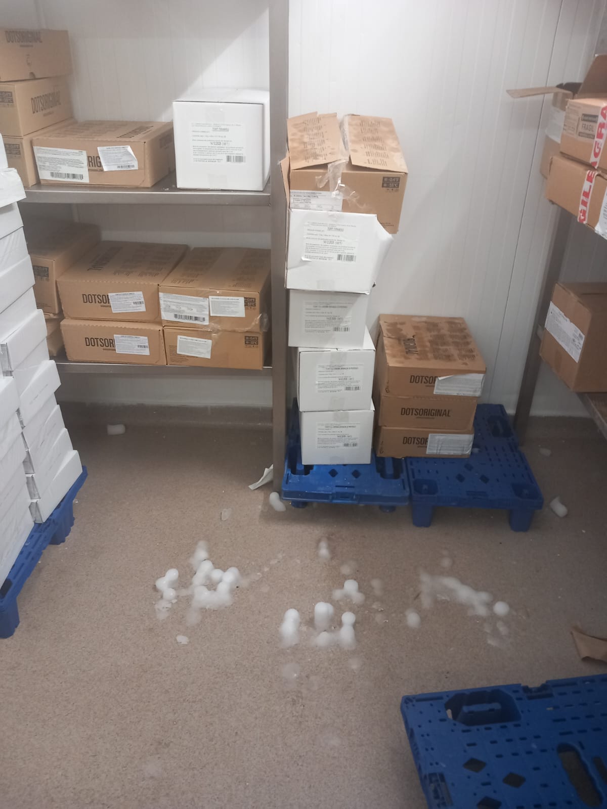 WhatsApp Image 2025-06-05 at 13.41.04 (4)