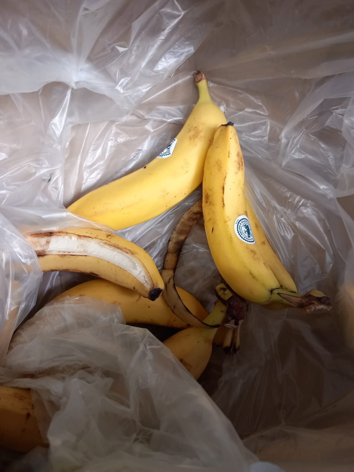 WhatsApp Image 2025-06-05 at 13.41.04 (1)