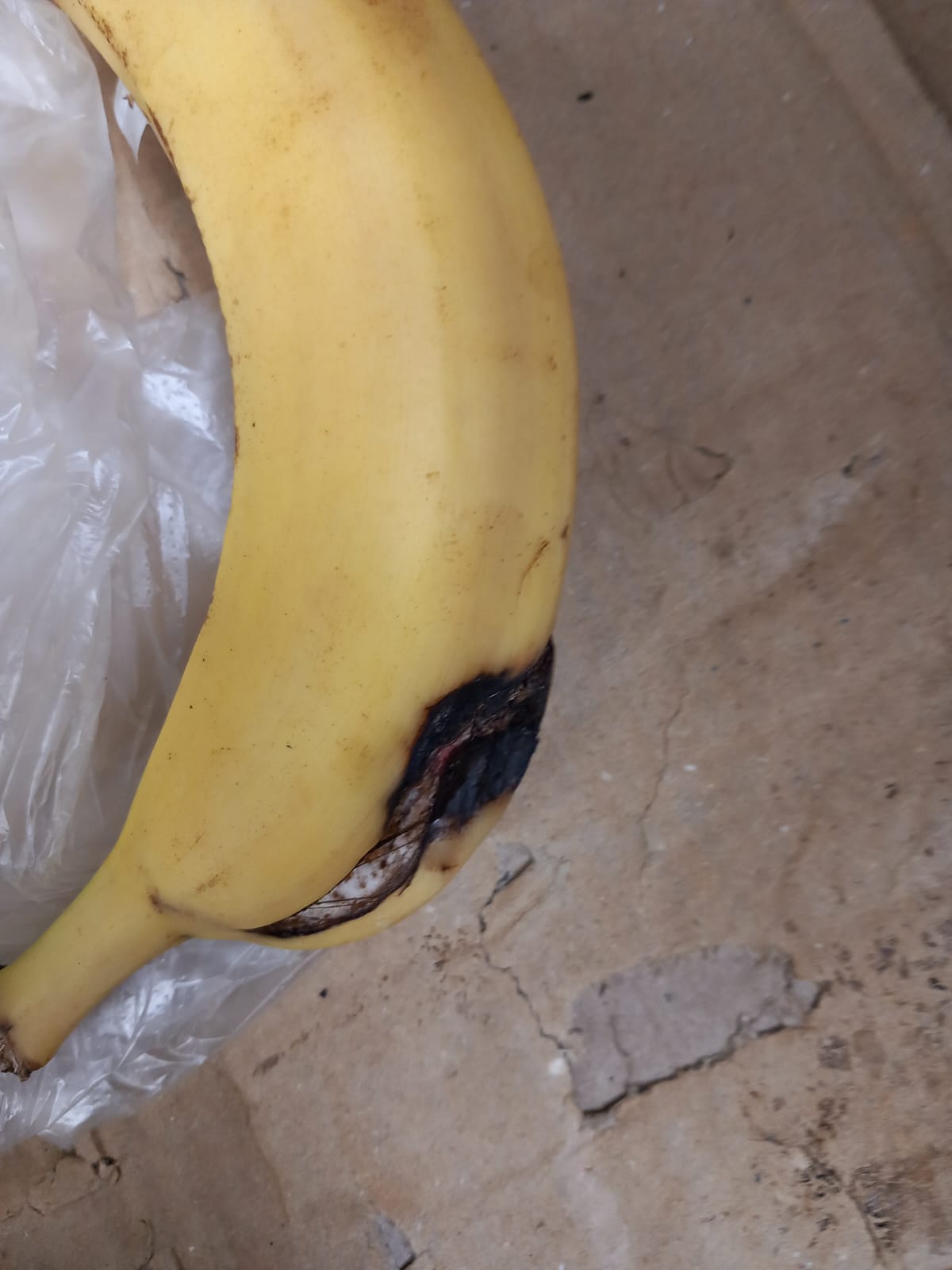 WhatsApp Image 2025-06-05 at 13.41.04 (2)