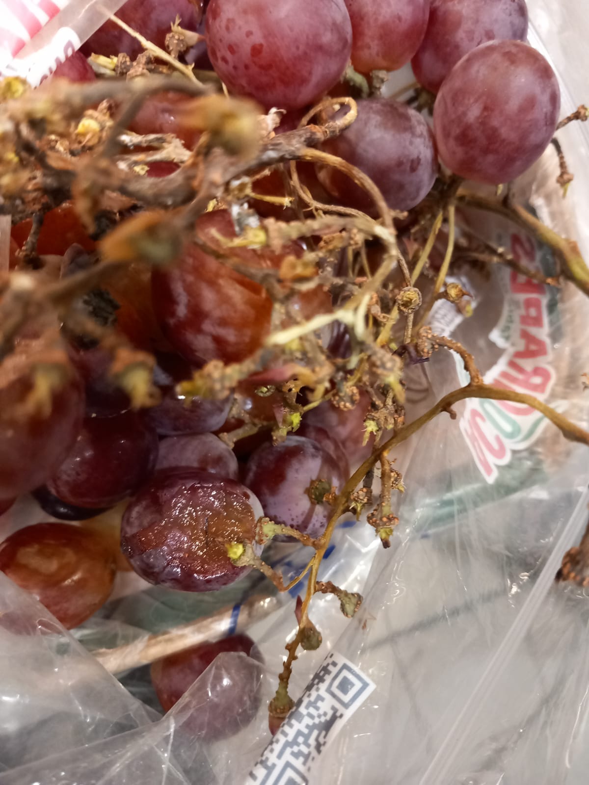 WhatsApp Image 2025-06-05 at 13.41.03 (6)