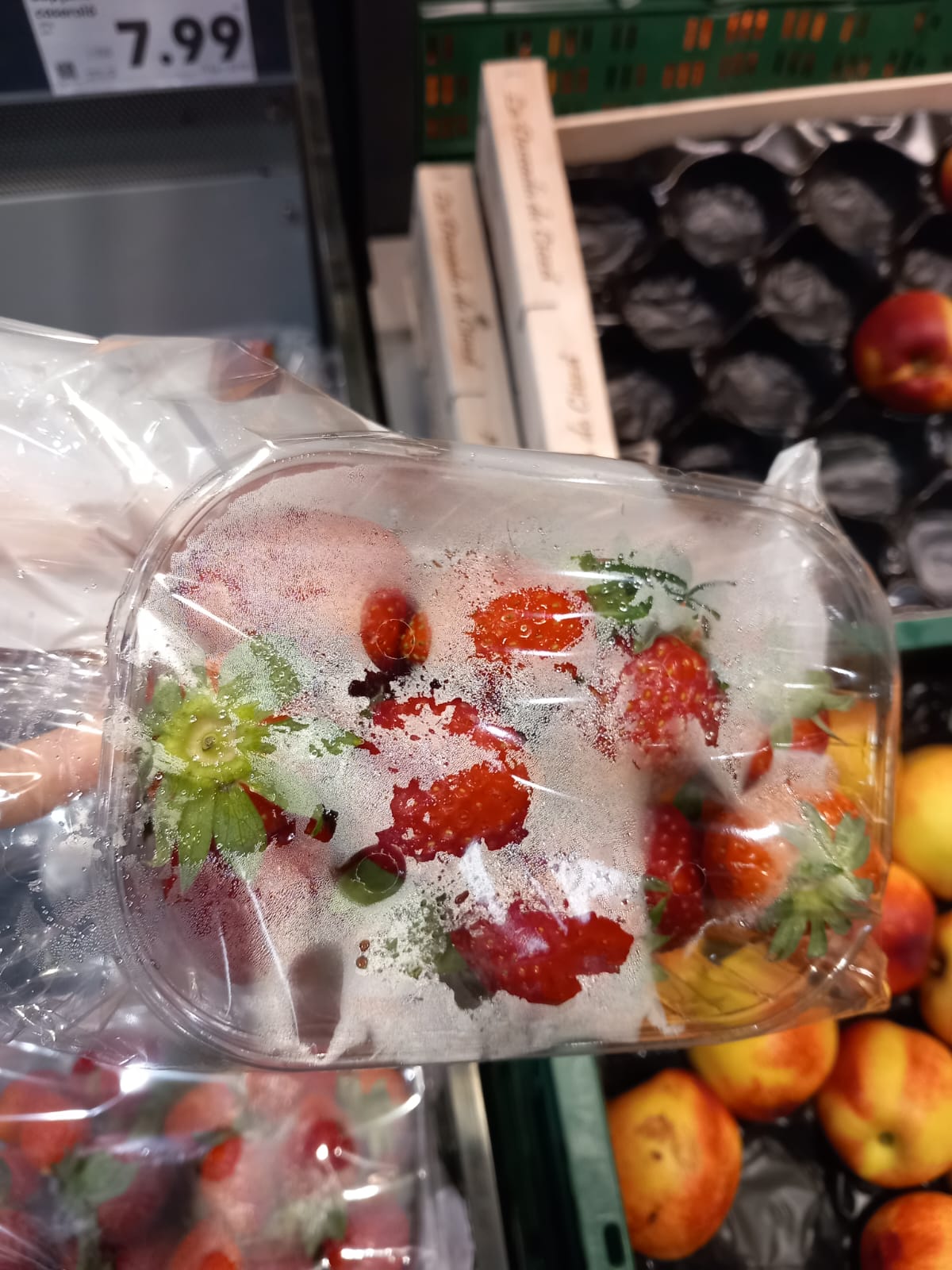 WhatsApp Image 2025-06-05 at 13.41.03 (3)