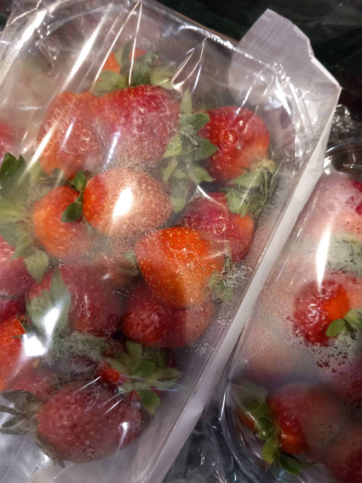 WhatsApp Image 2025-06-05 at 13.41.03 (4)