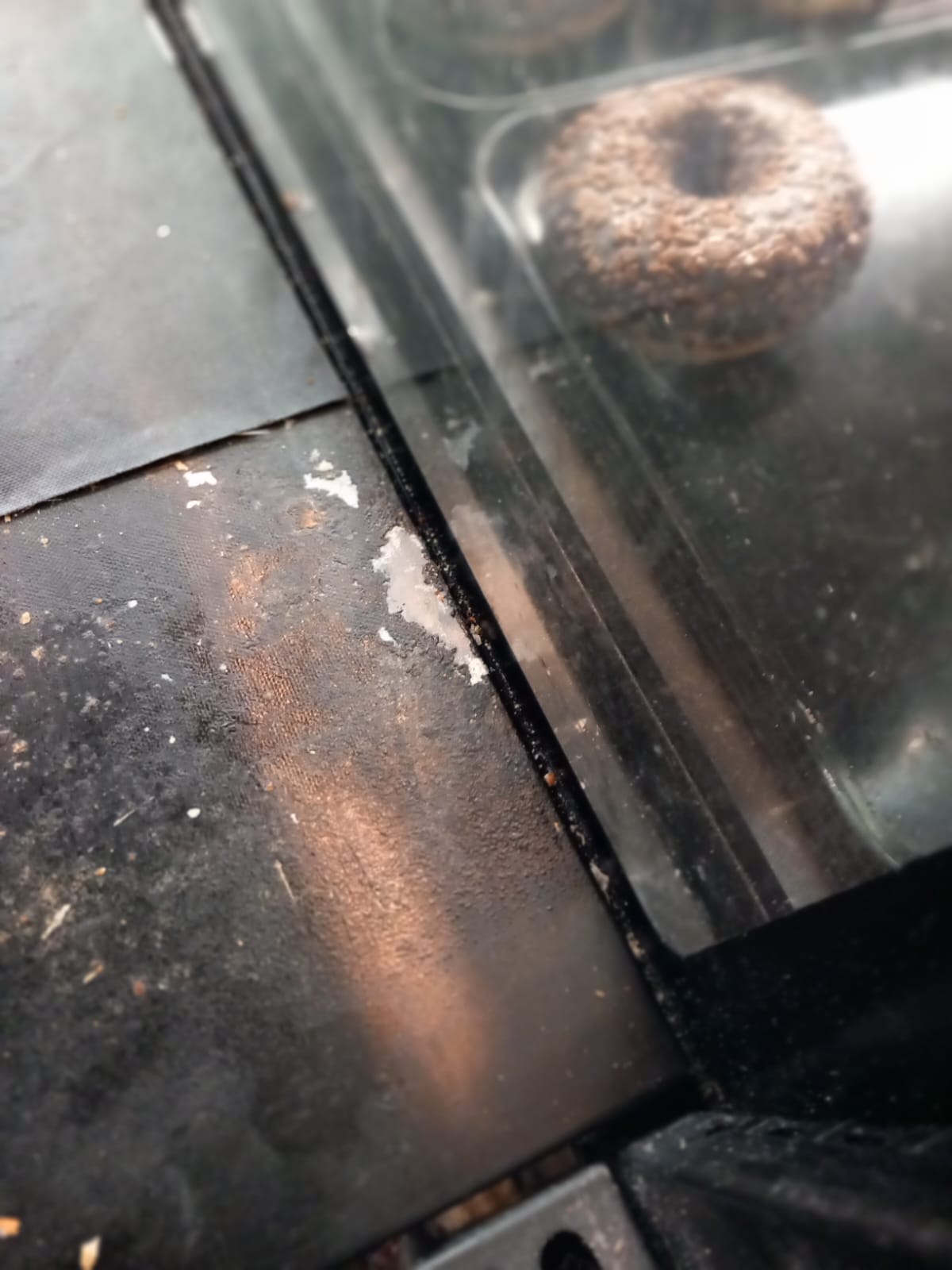 WhatsApp Image 2025-06-05 at 13.41.03 (1)