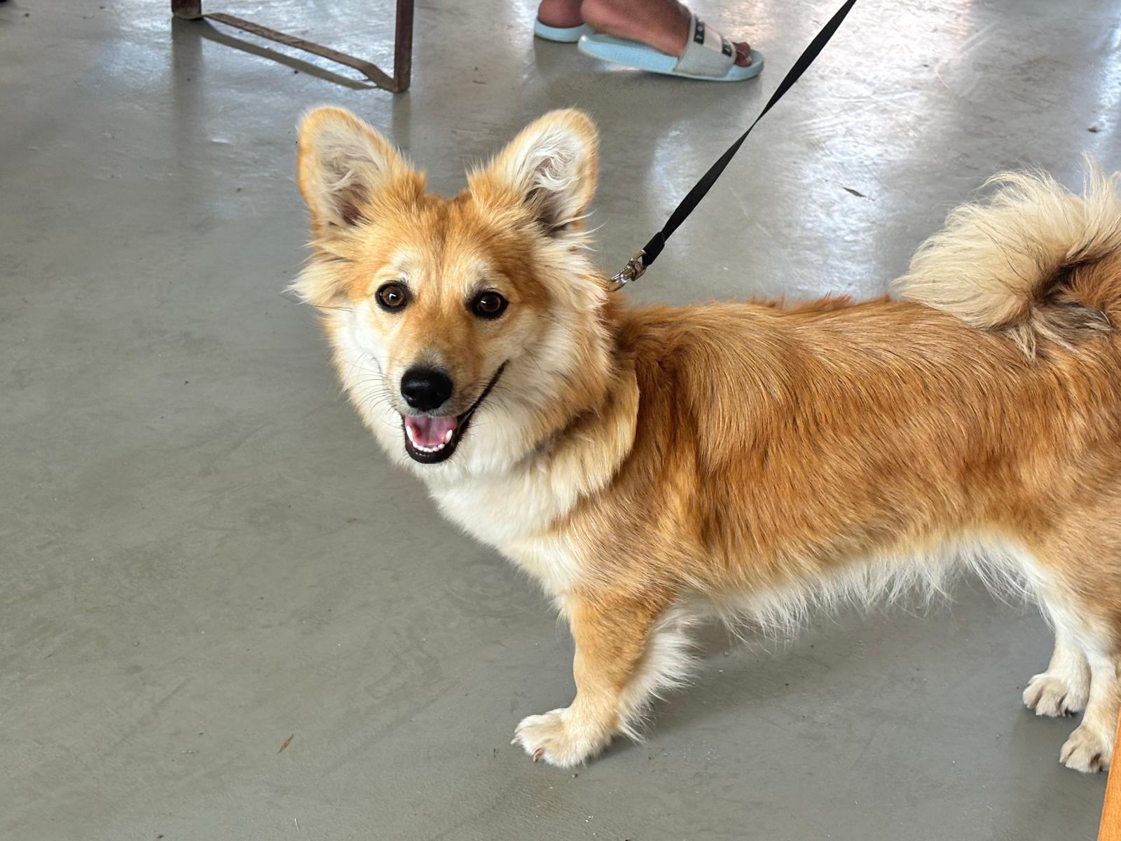 color the village grădinari 2025 (25)