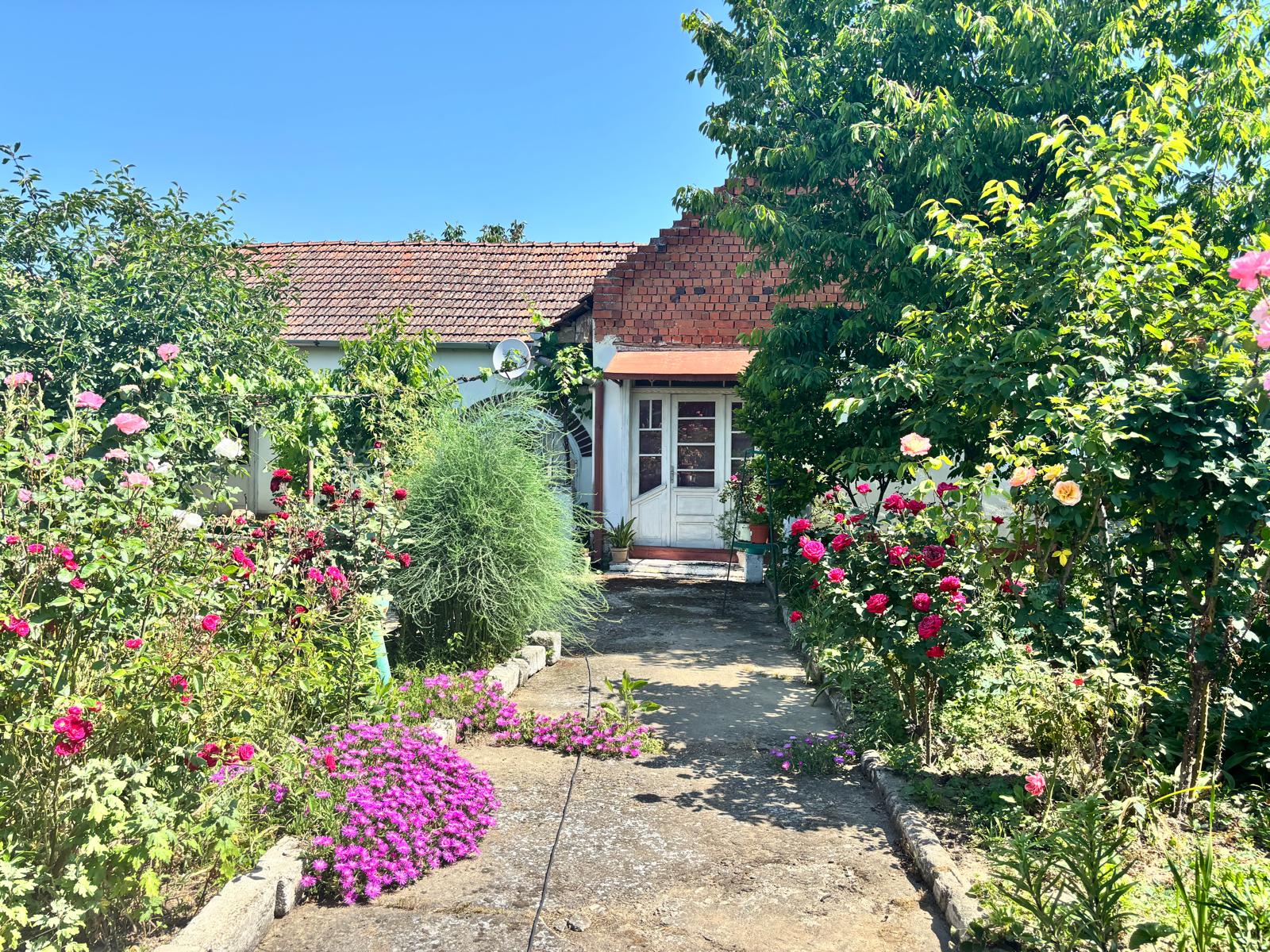 color the village grădinari 2025 (29)