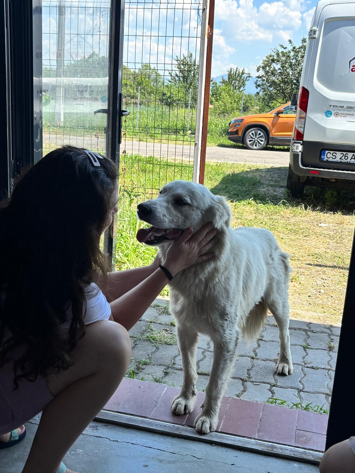 color the village grădinari 2025 (34)