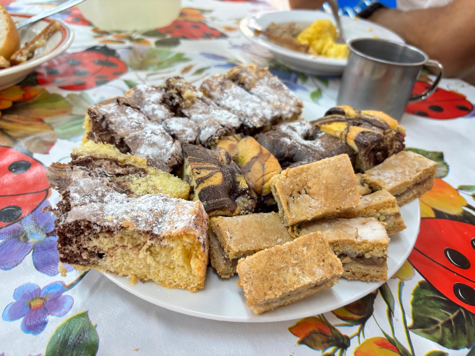 color the village grădinari 2025 (75)