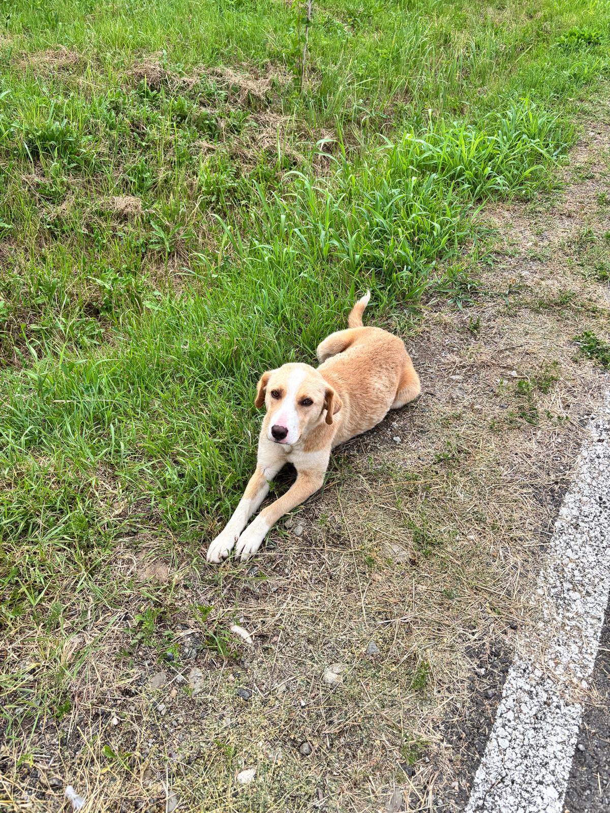 color the village grădinari 2025 (76)