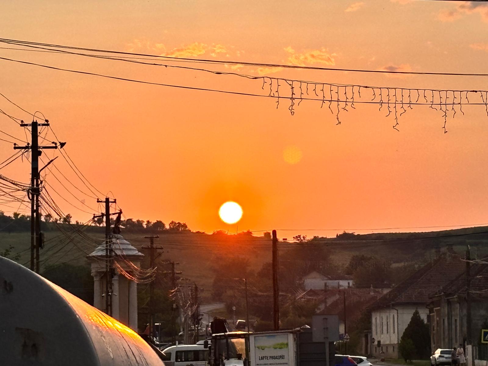 color the village grădinari 2025 (78)