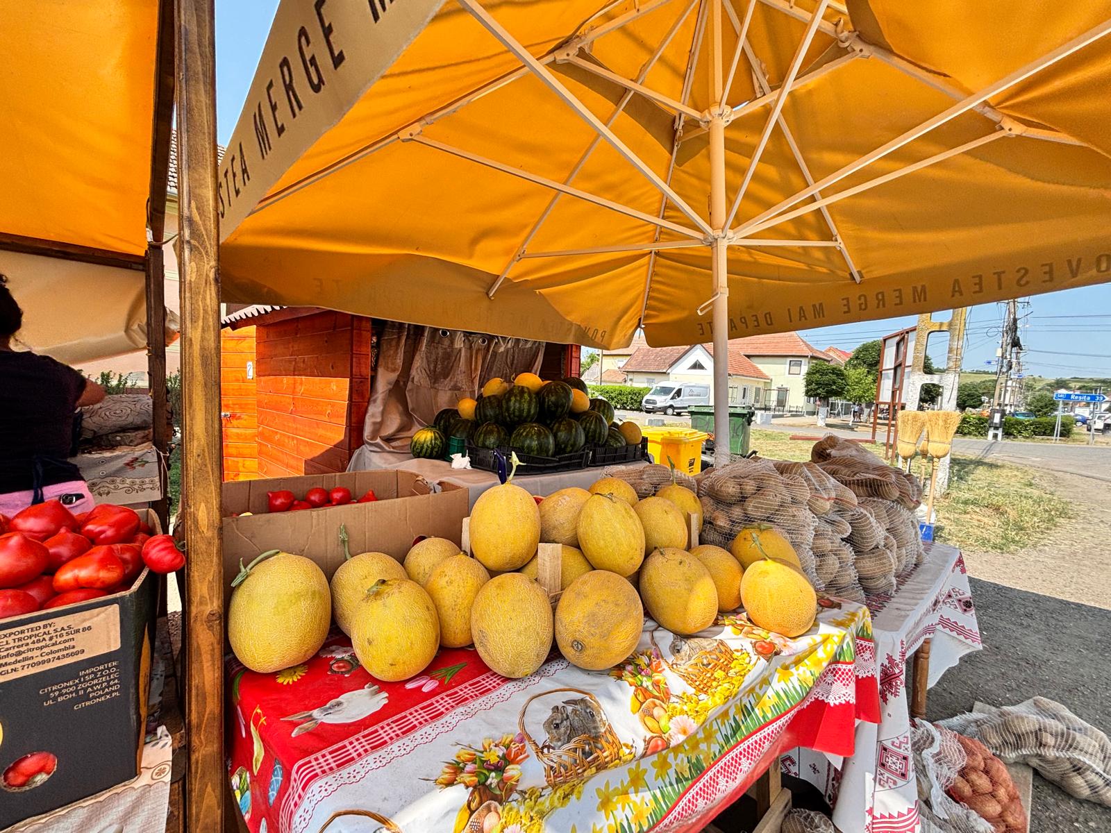 color the village grădinari 2025 (7)