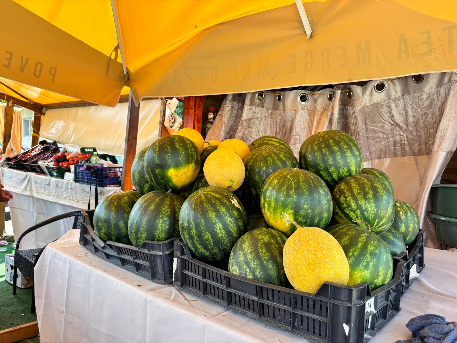 color the village grădinari 2025 (8)