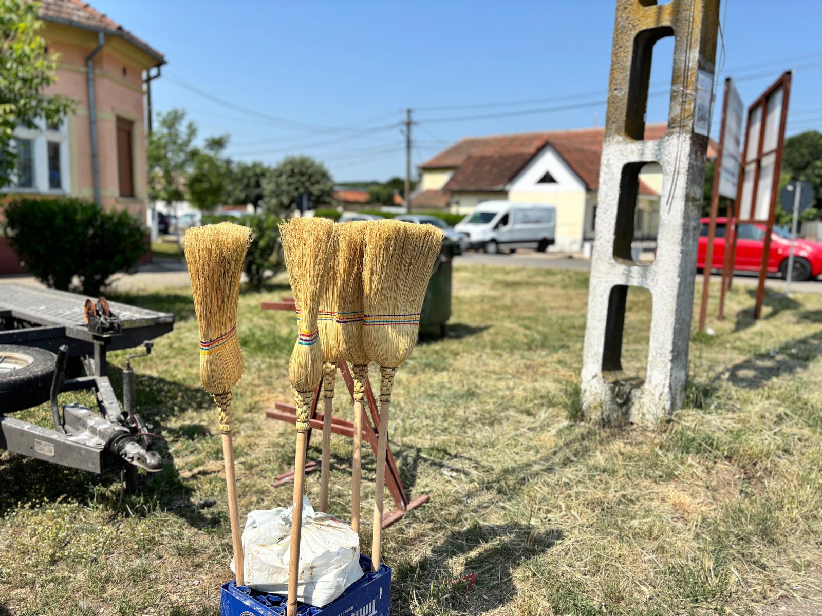 color the village grădinari 2025 (10)