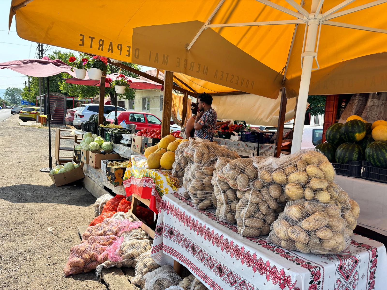 color the village grădinari 2025 (9)