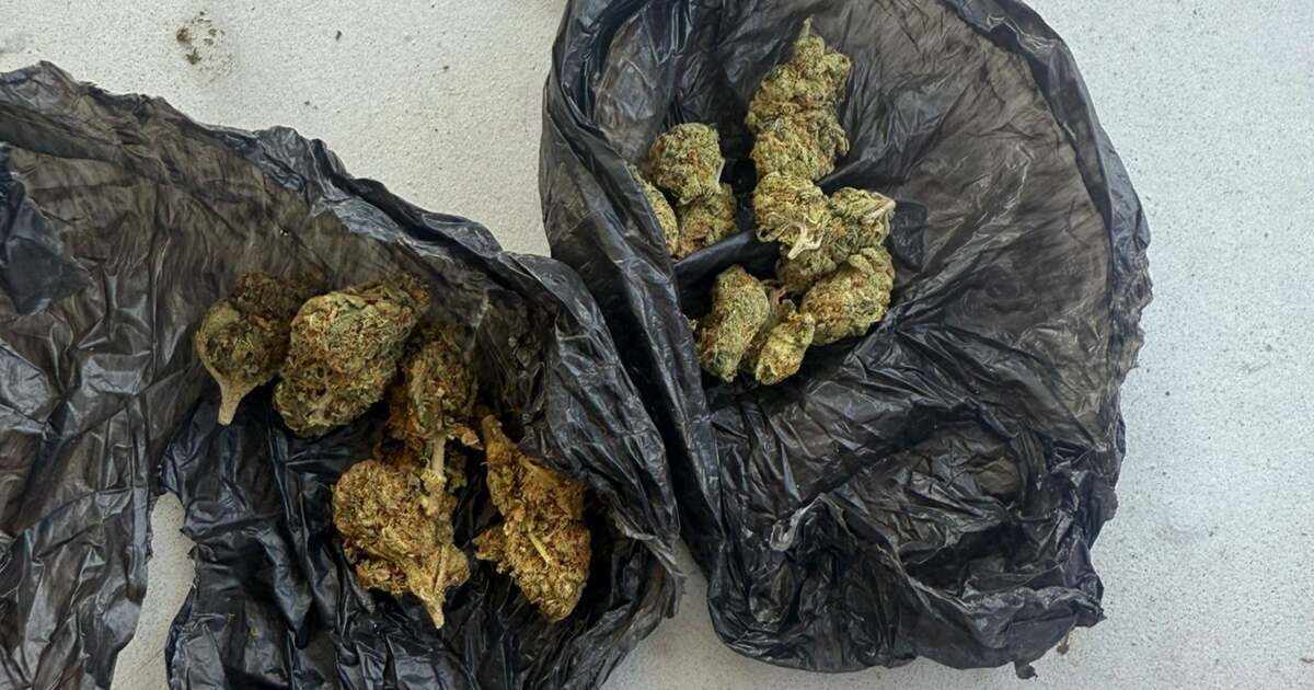 Timișorean surprins cu narcotice de jandarmi în Timișoara Timișorean surprins cu narcotice de jandarmi în Timișoara