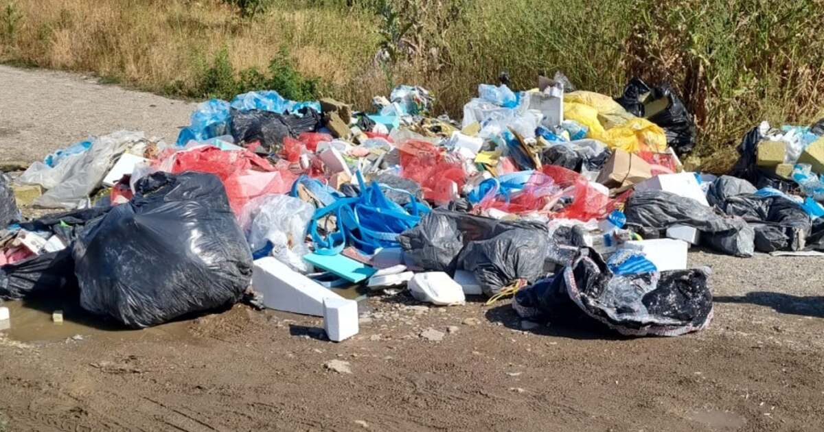 Timișorenii, amendați cu 300.000 de euro pentru abandonarea gunoiului pe drum.