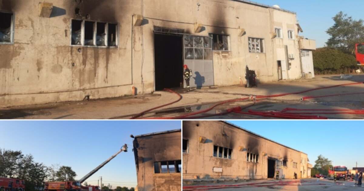 Incendiu la Jebel: Pompierii în lupta cu flăcările dintr-o hală afectată Incendiu la Jebel: Pompierii în lupta cu flăcările dintr-o hală afectată
