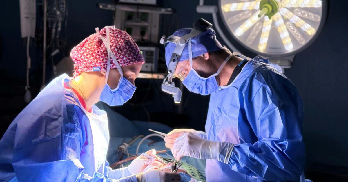 Un tânăr cu tetrapareză a început să meargă din nou, datorită medicilor de la Casa Austria. Un tânăr cu tetrapareză a început să meargă din nou, datorită medicilor de la Casa Austria.
