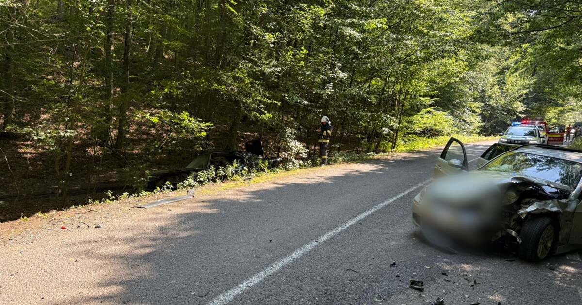 Accident teribil pe un drum din Timiș: cinci persoane rănite după pierderea controlului volanului. Accident teribil pe un drum din Timiș: cinci persoane rănite după pierderea controlului volanului.