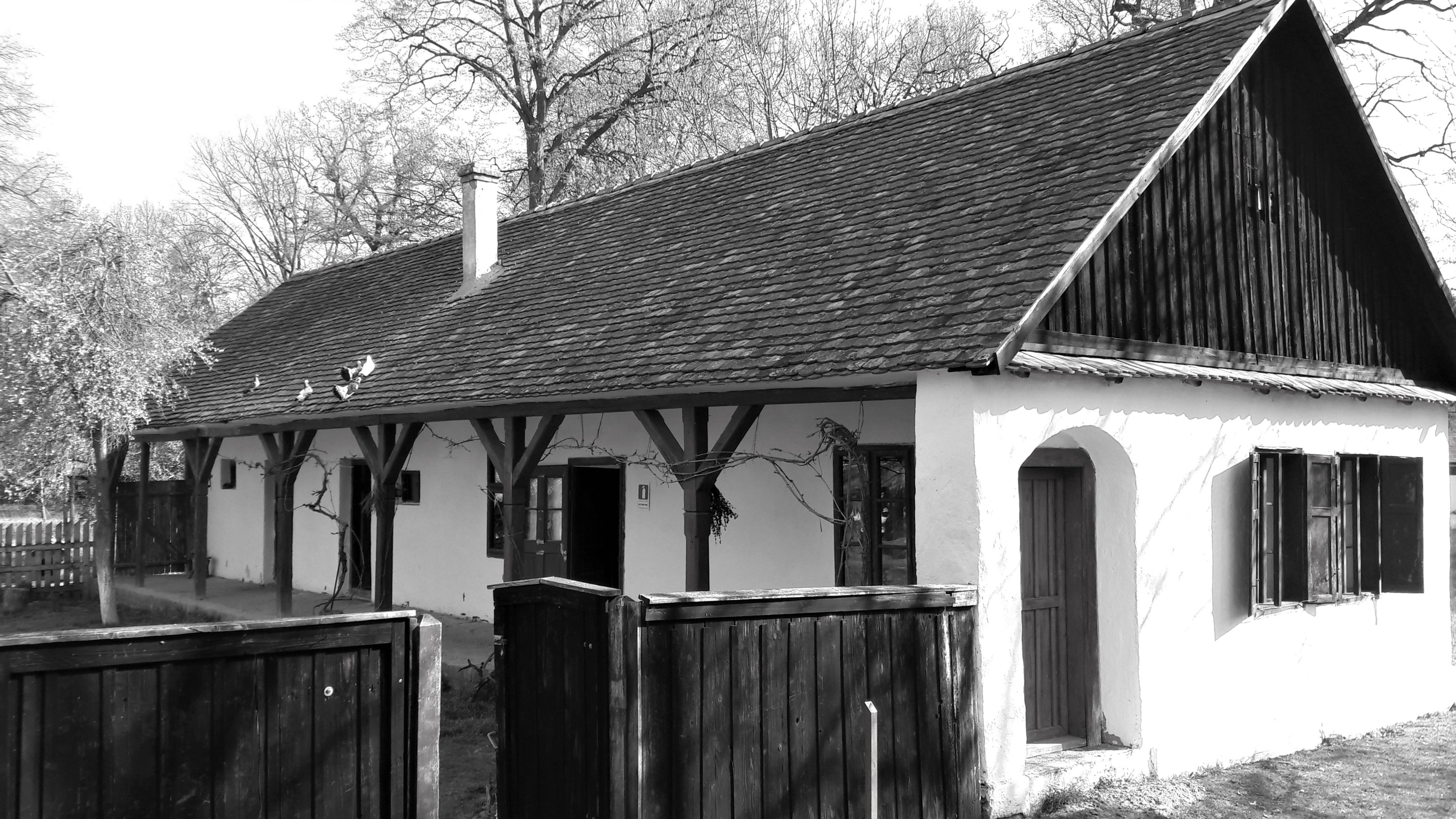 muzeul satului banatean