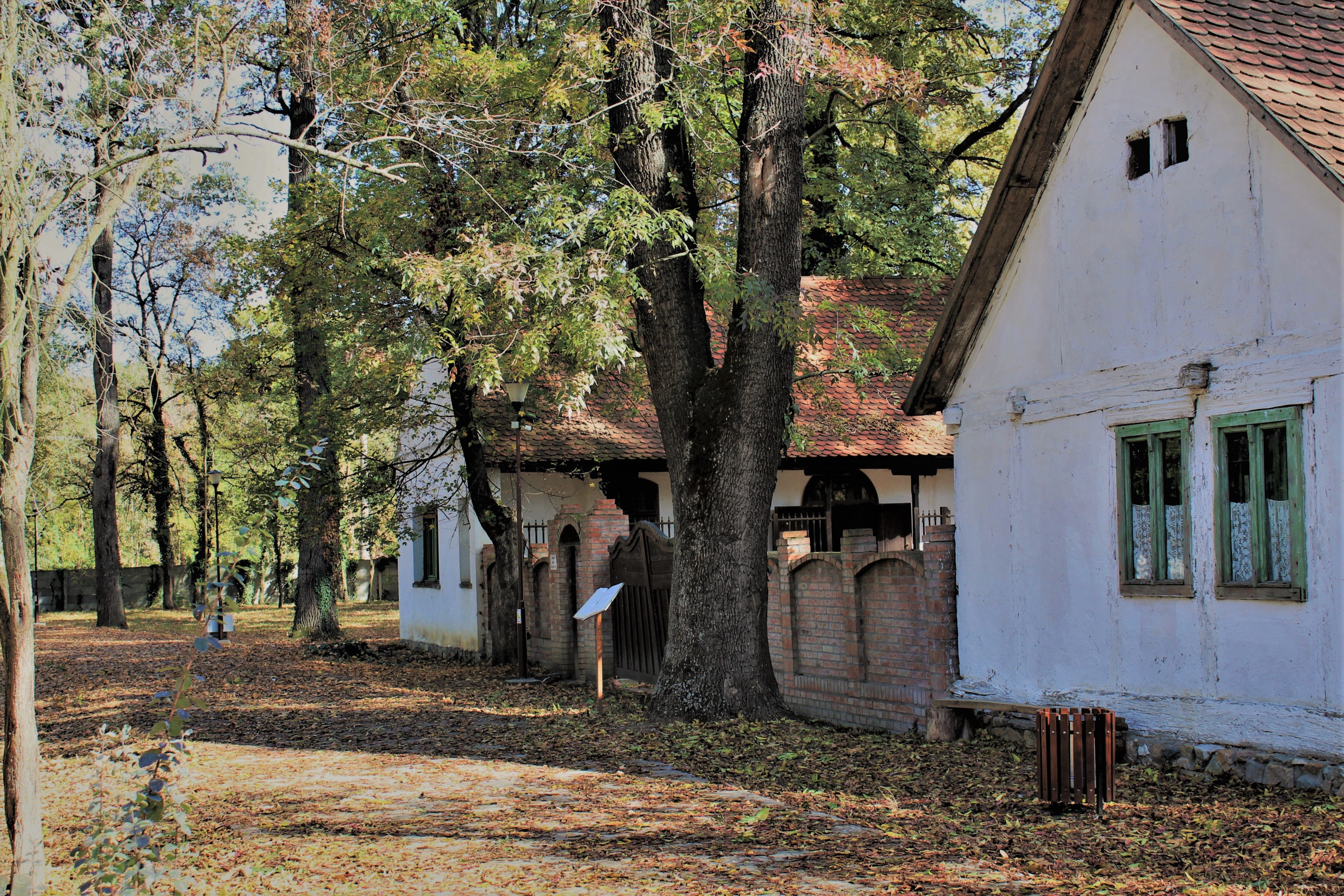 muzeul satului banatean