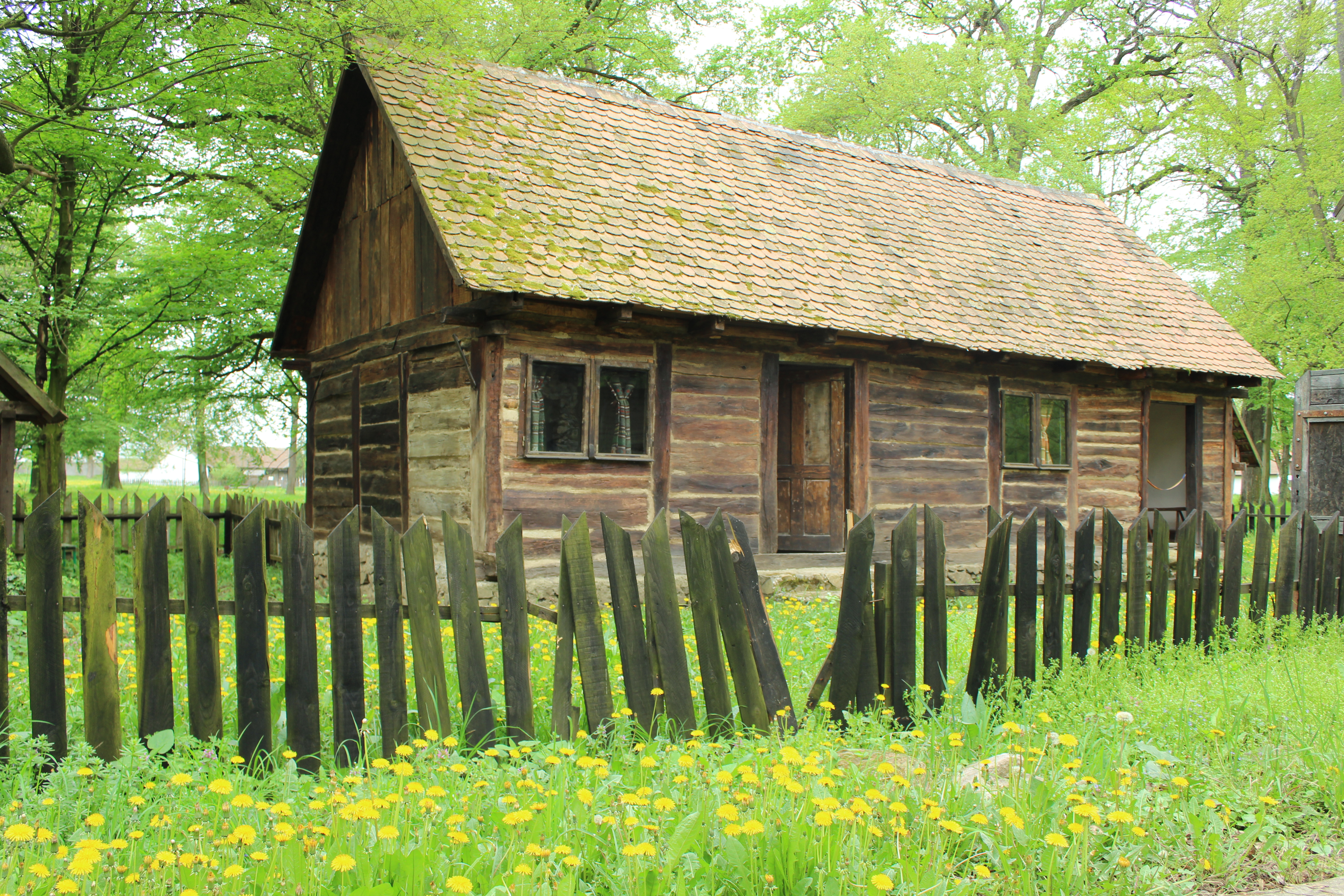 muzeul satului banatean