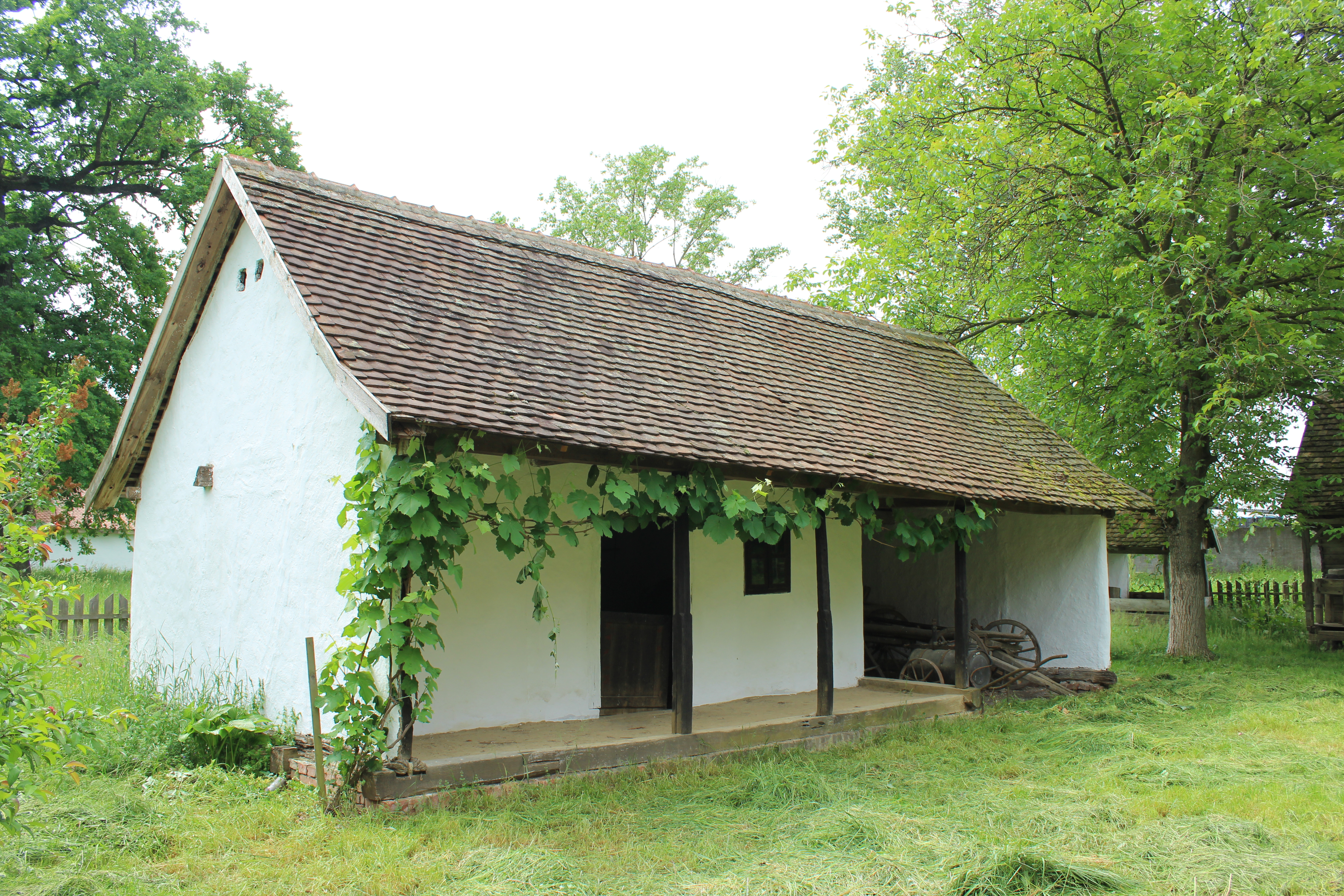 muzeul satului banatean