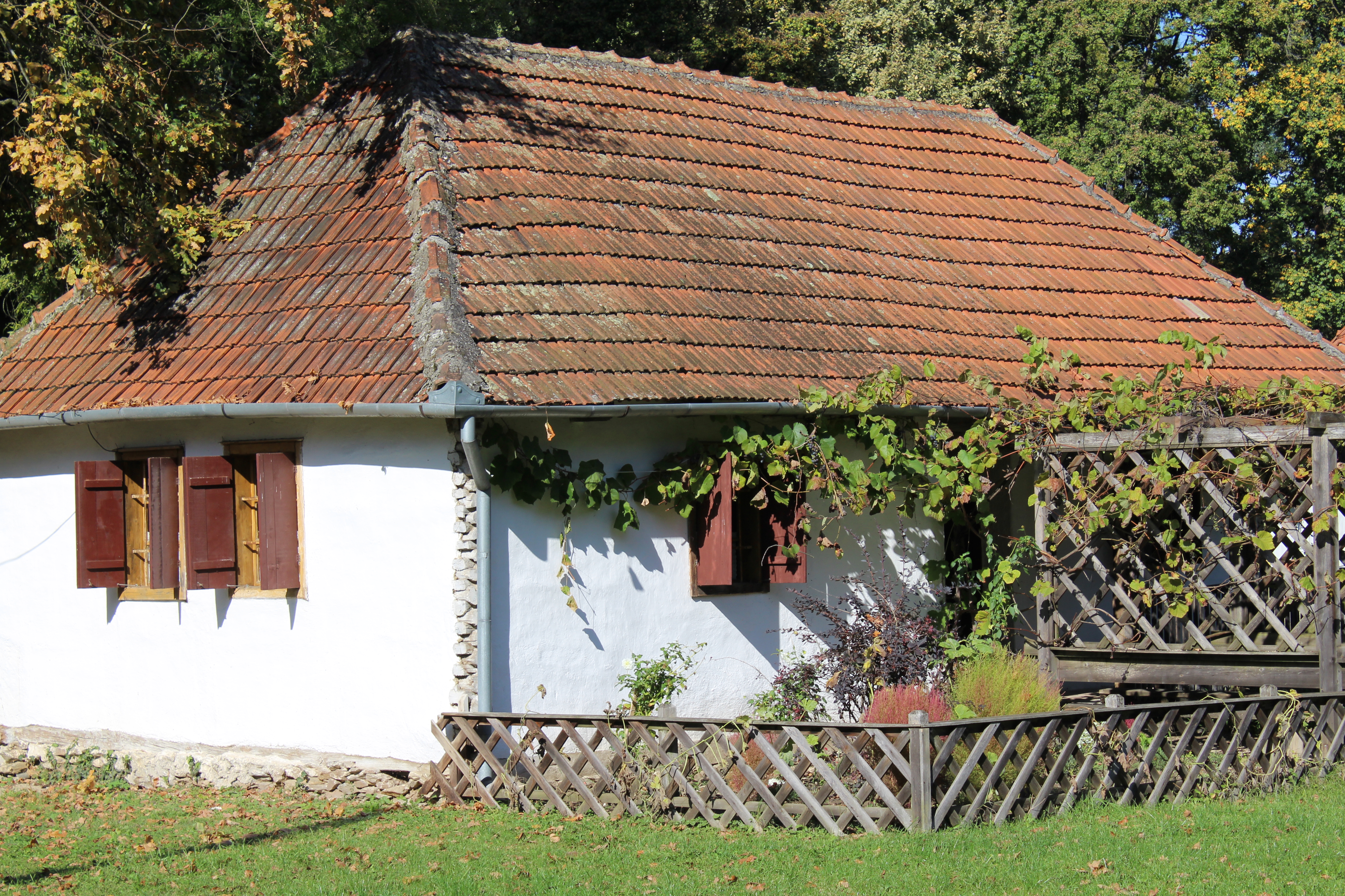 Primaria Sarazanimuzeul satului banatean