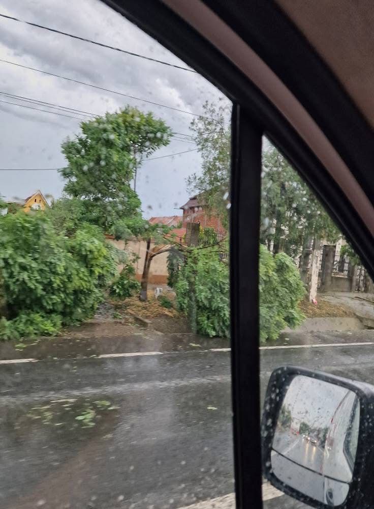 WhatsApp Image 2025-07-08 at 17.34.46