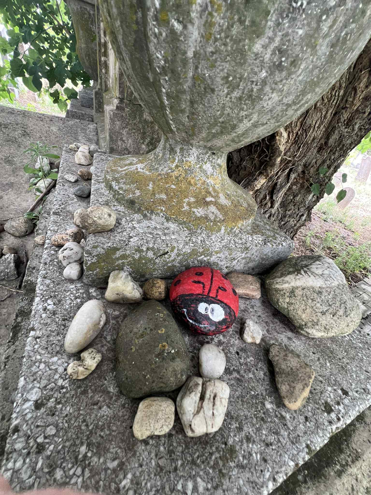 cimitirul evreiesc iulie 2025 (3)