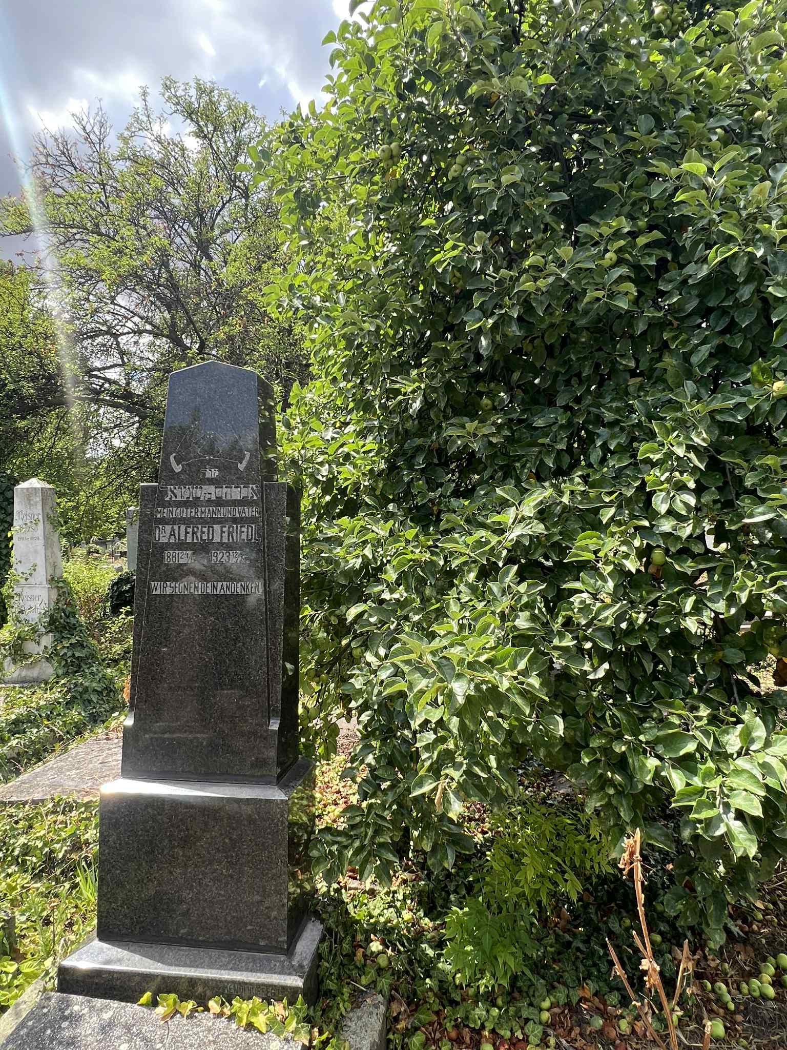 cimitirul evreiesc iulie 2025 (4)