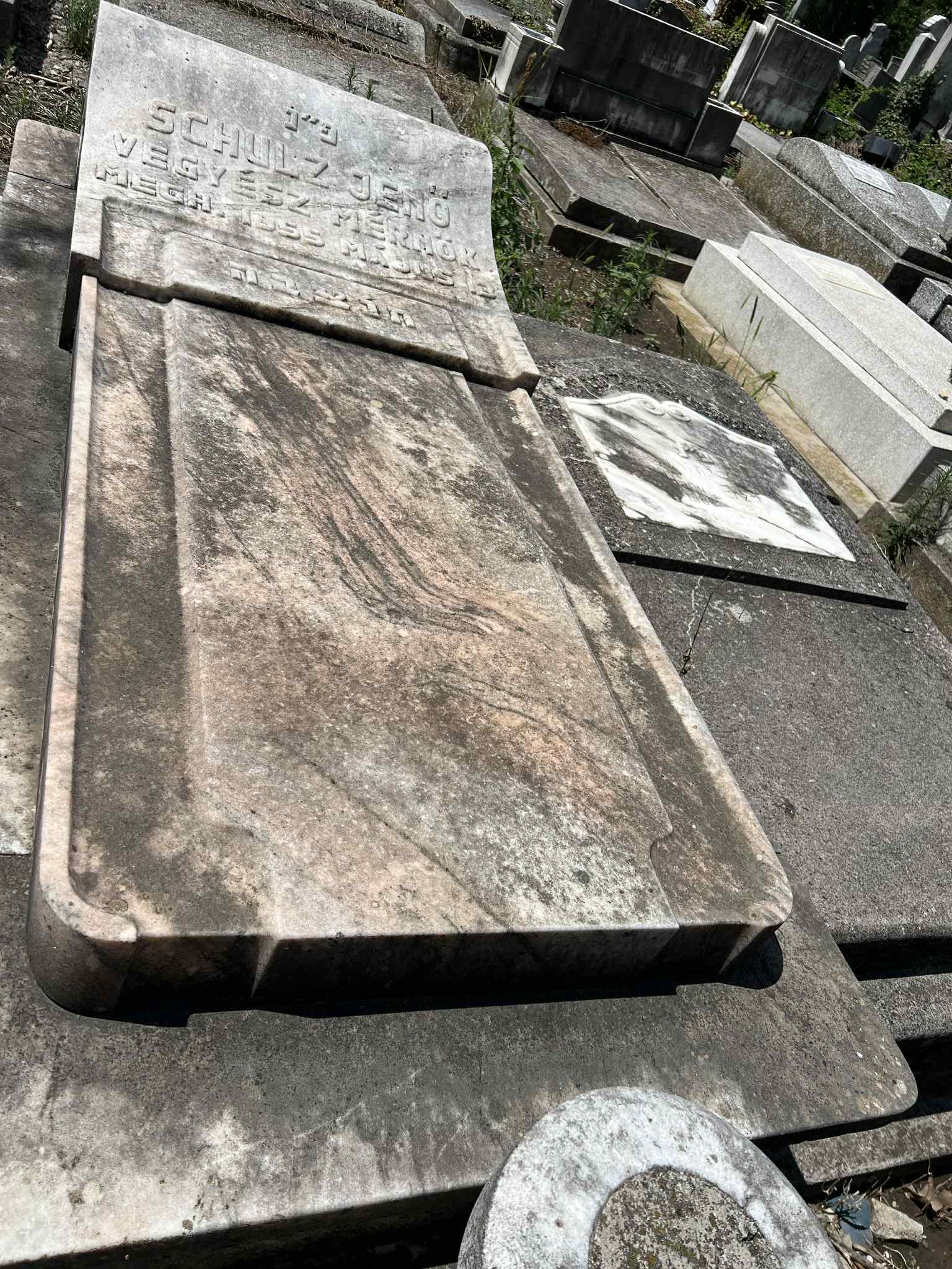 cimitirul evreiesc iulie 2025 (5)