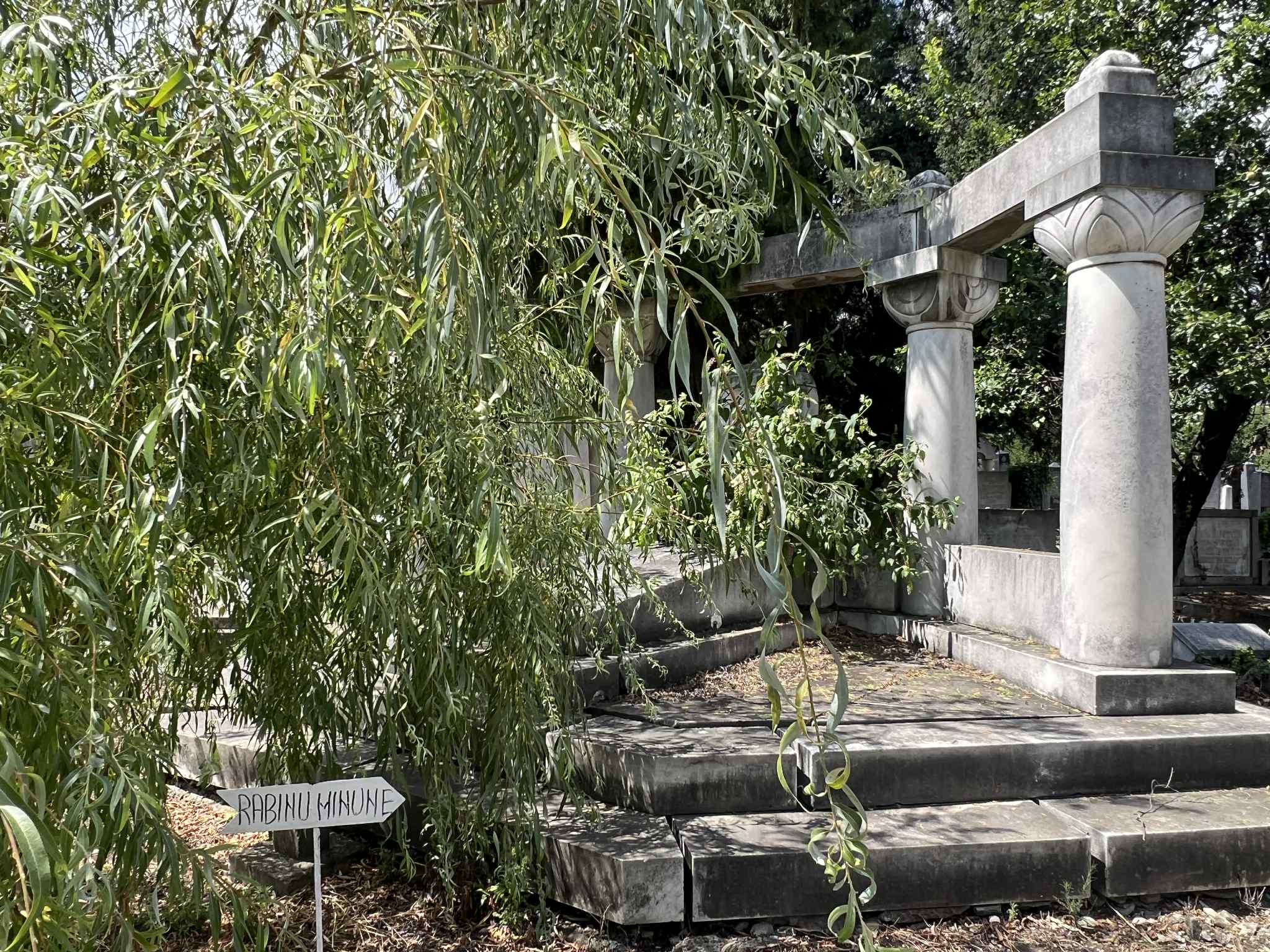 cimitirul evreiesc iulie 2025 (6)