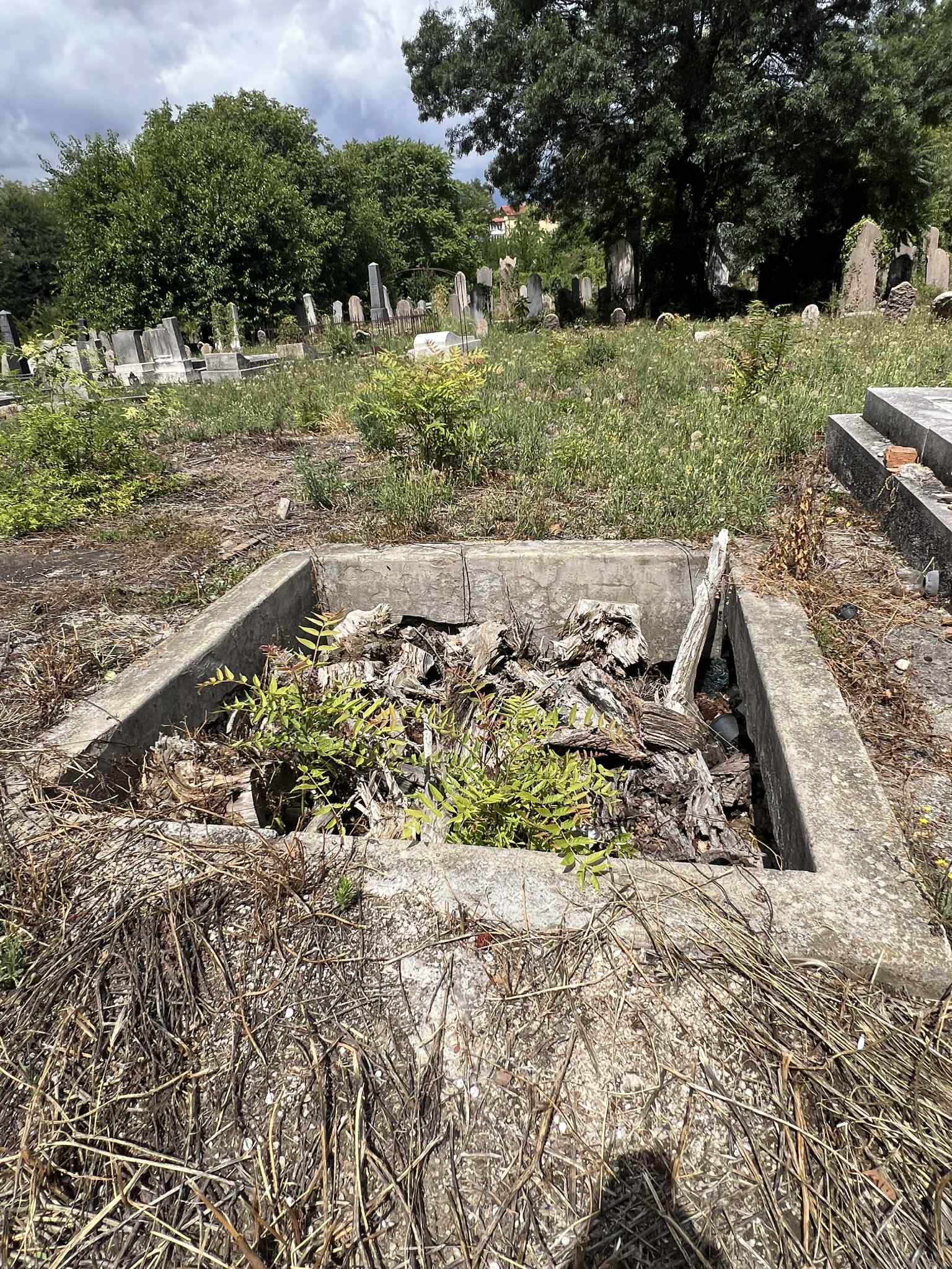cimitirul evreiesc iulie 2025 (7)