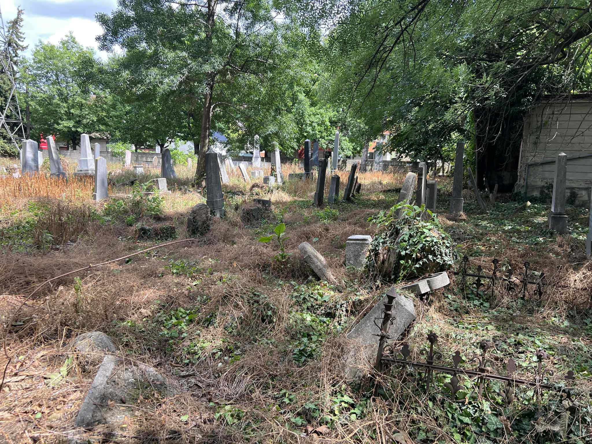 cimitirul evreiesc iulie 2025 (10)