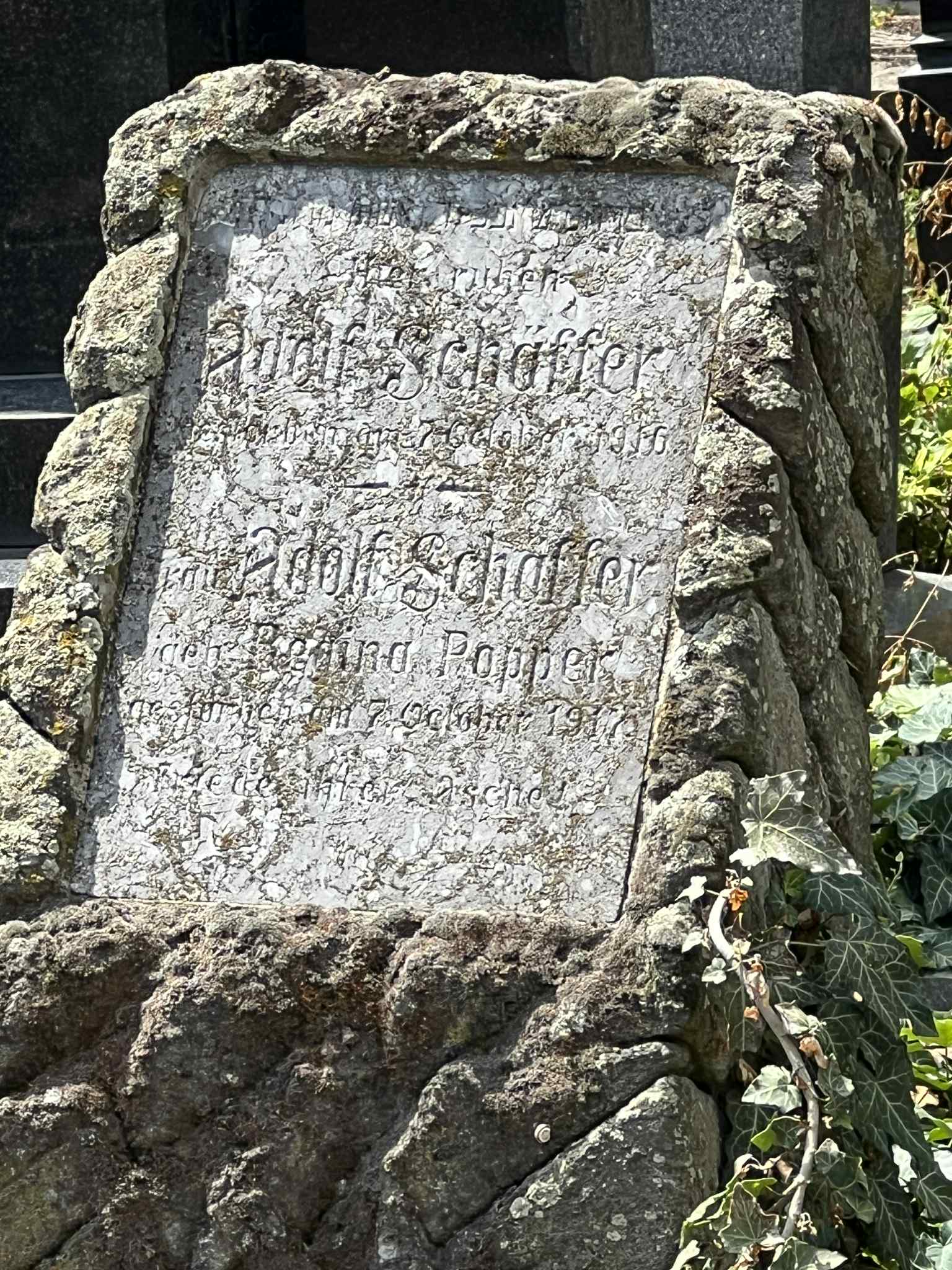 cimitirul evreiesc iulie 2025 (11)