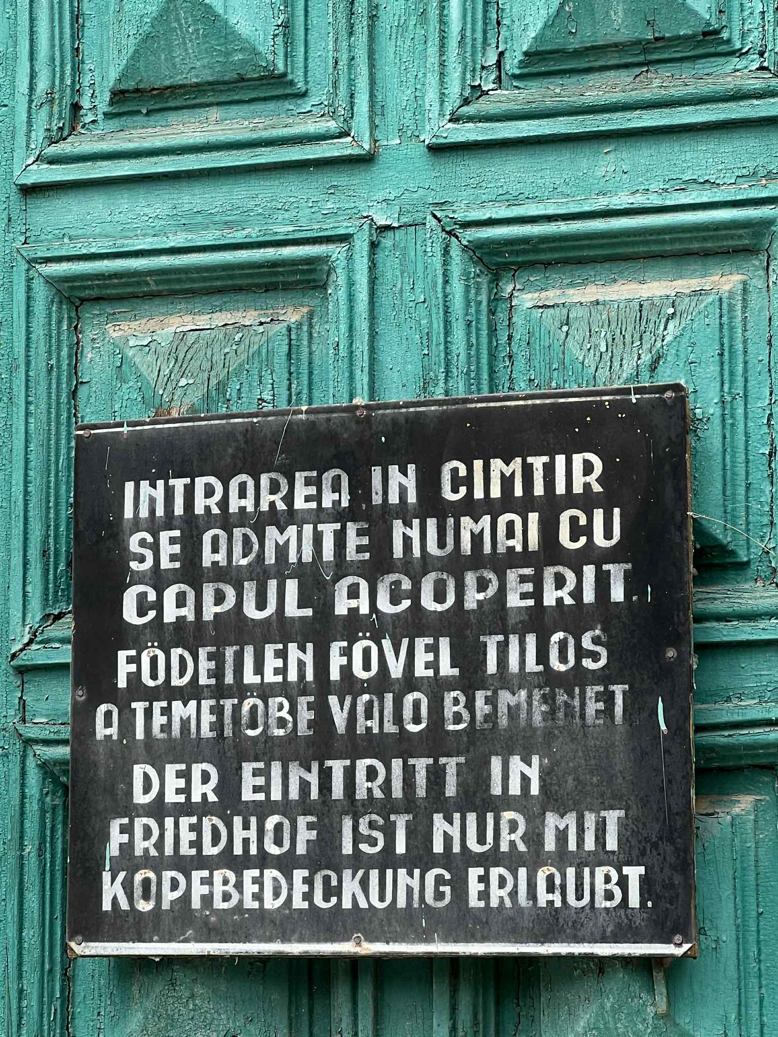 cimitirul evreiesc iulie 2025 (12)