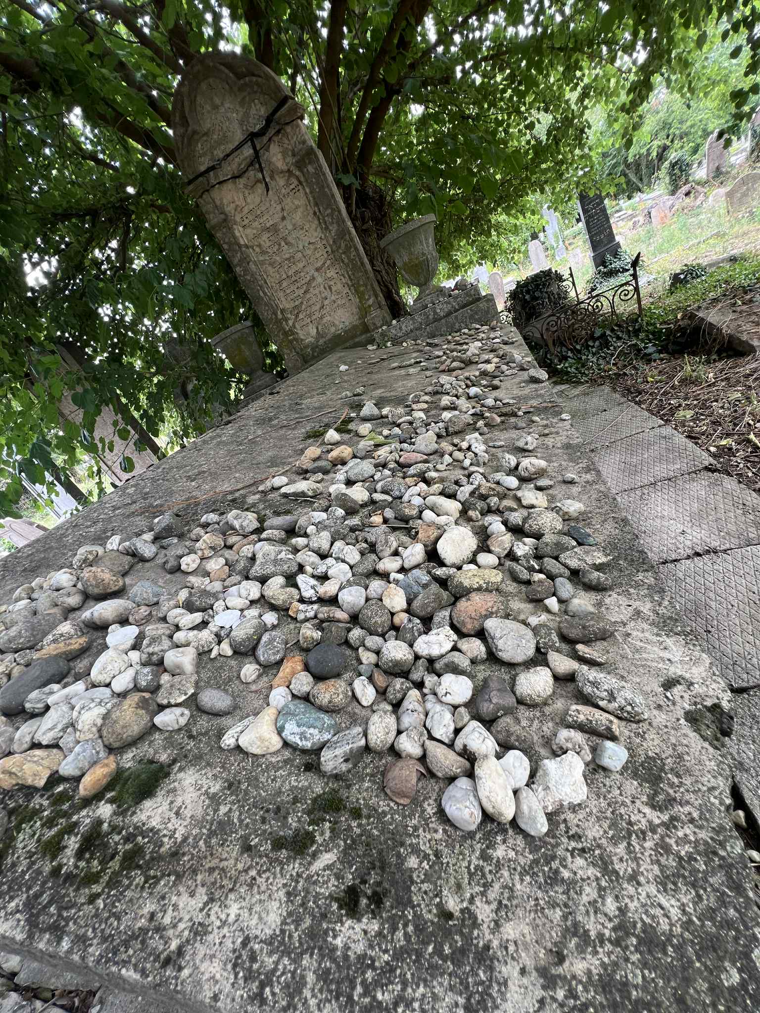 cimitirul evreiesc iulie 2025 (13)
