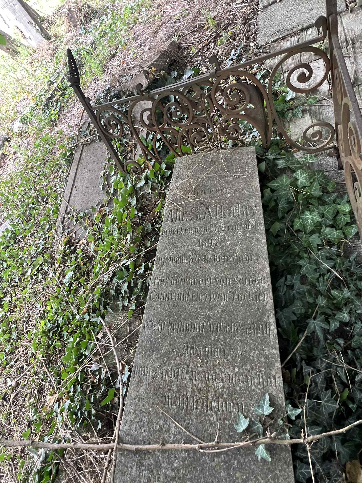 cimitirul evreiesc iulie 2025 (14)