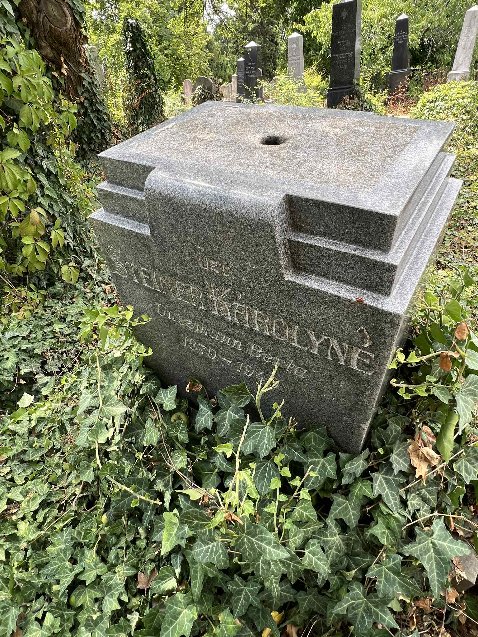 cimitirul evreiesc iulie 2025 (15)