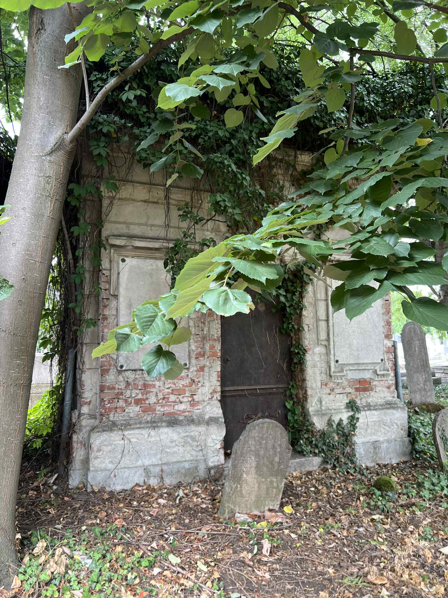 cimitirul evreiesc iulie 2025 (18)