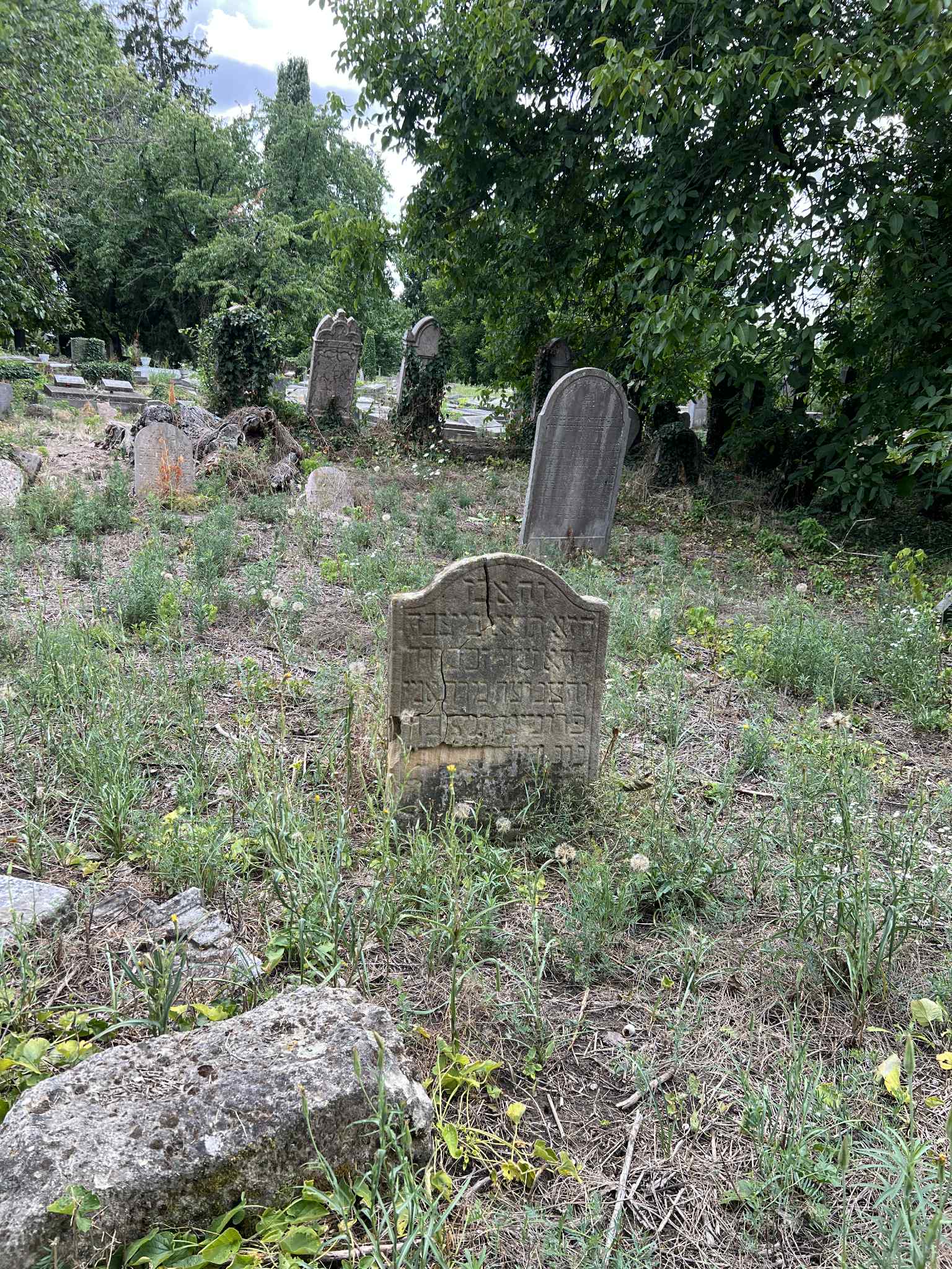 cimitirul evreiesc iulie 2025 (19)