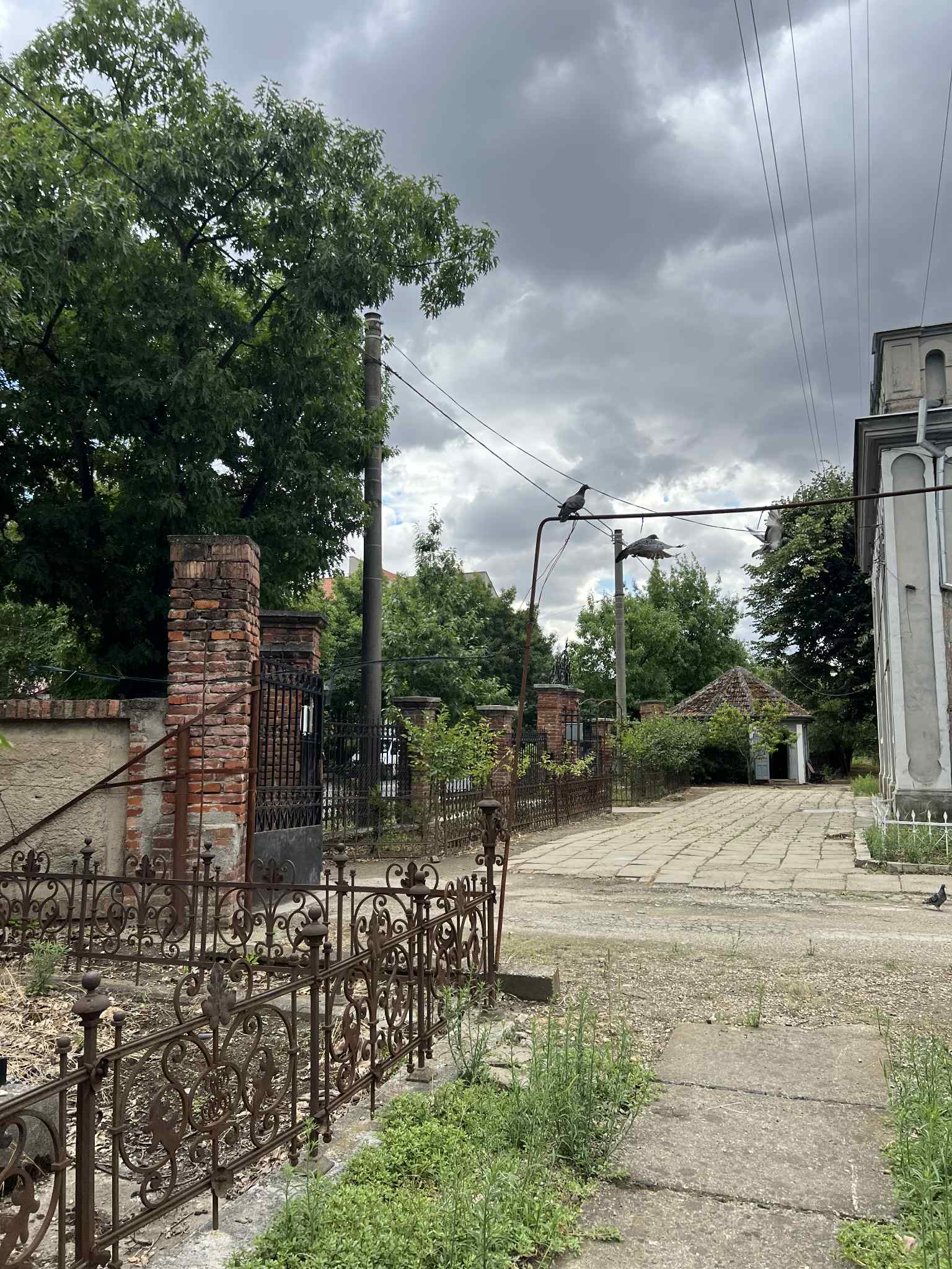 cimitirul evreiesc iulie 2025 (20)