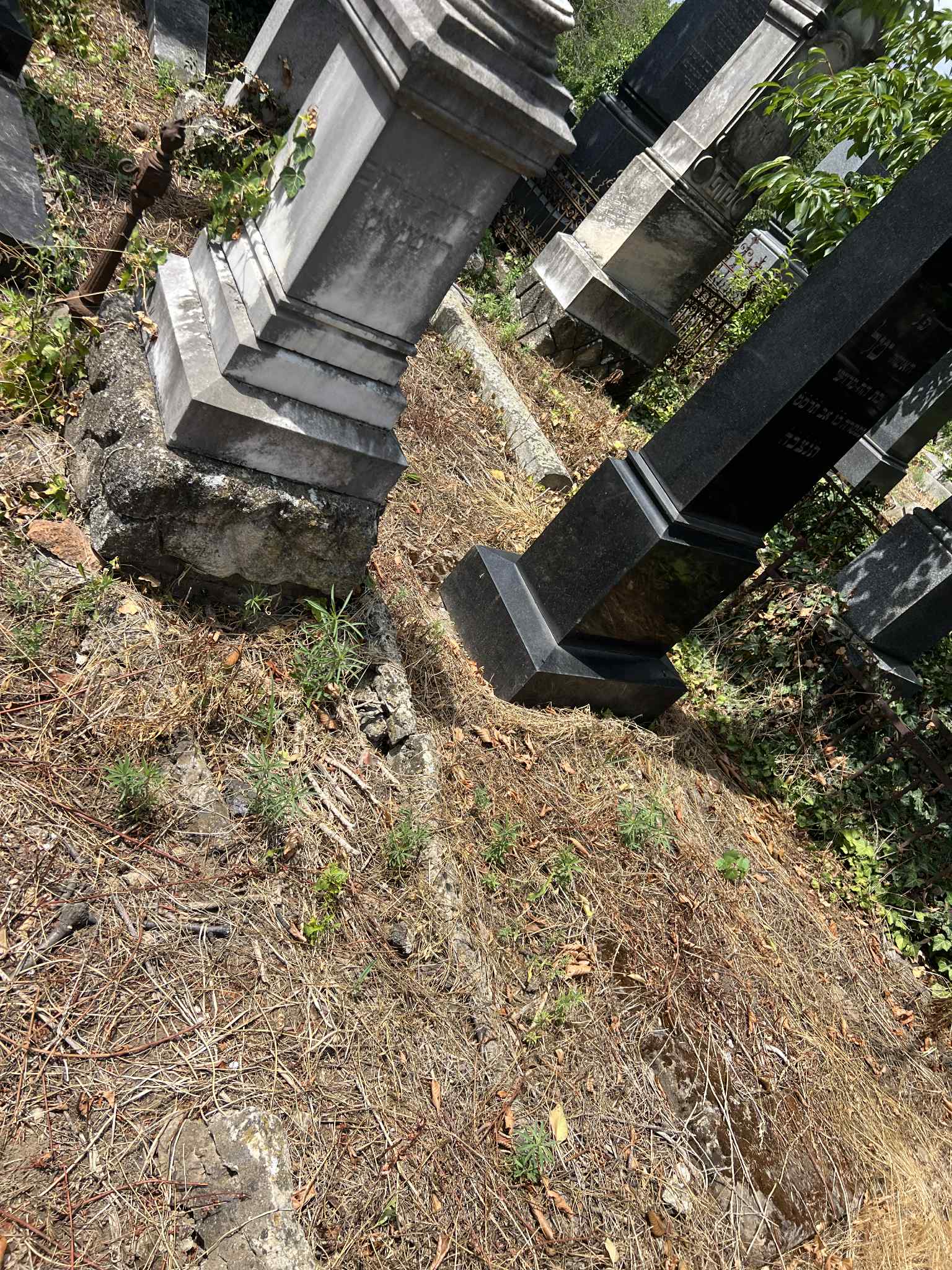 cimitirul evreiesc iulie 2025 (28)