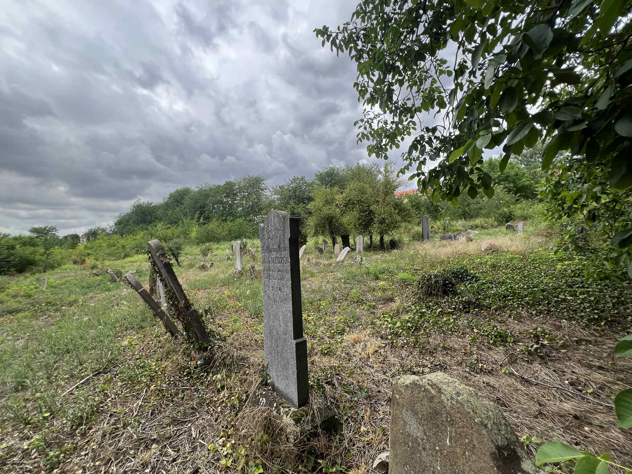 cimitirul evreiesc iulie 2025 (30)